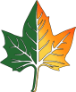 TJ's TREES